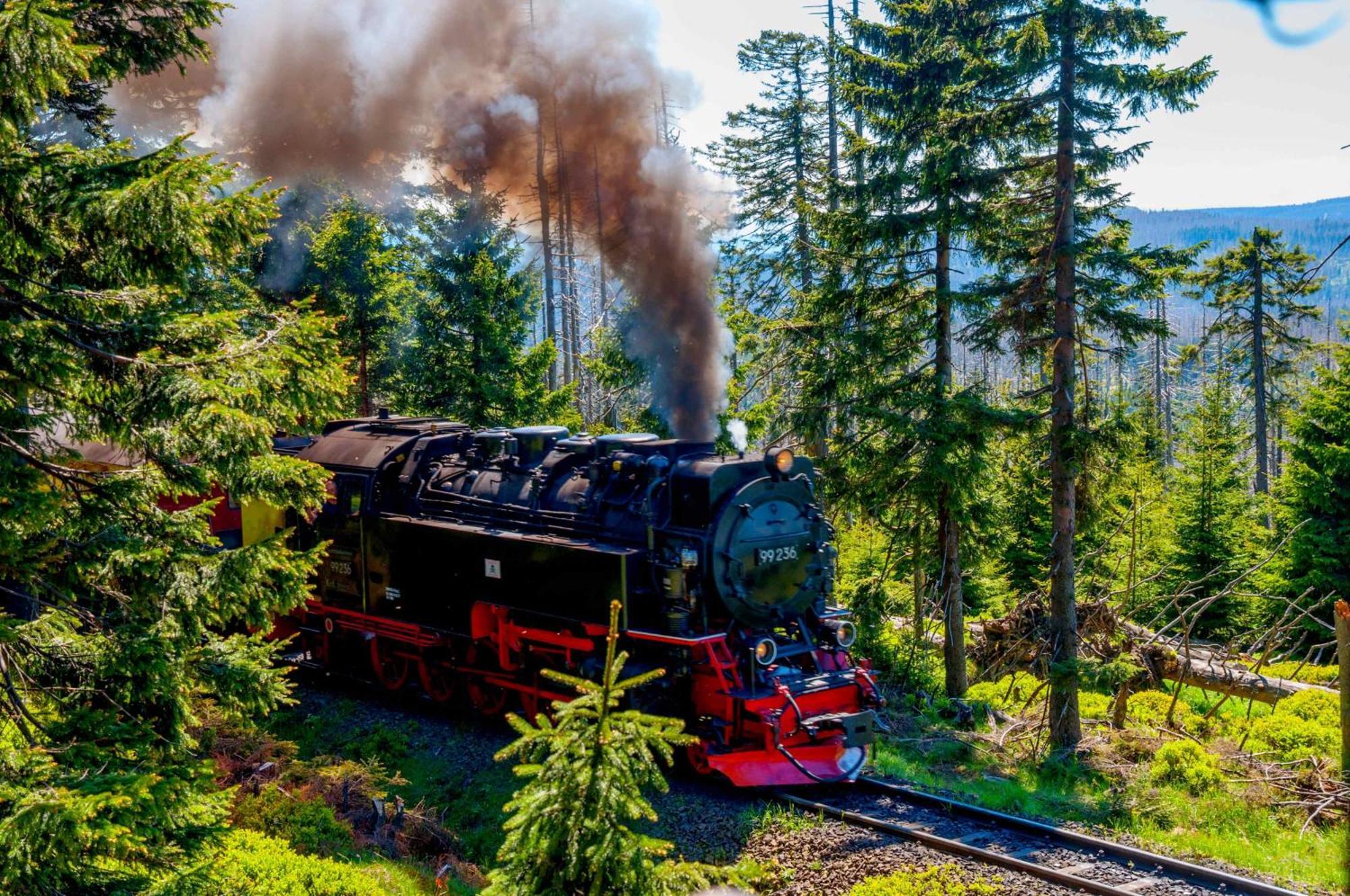 Regiohotel Am Brocken Schierke Bagian luar foto